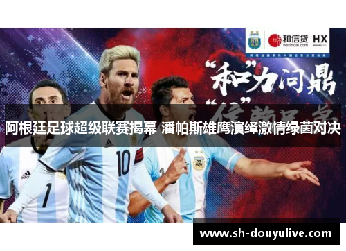 阿根廷足球超级联赛揭幕 潘帕斯雄鹰演绎激情绿茵对决