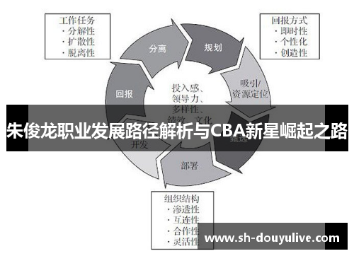 朱俊龙职业发展路径解析与CBA新星崛起之路